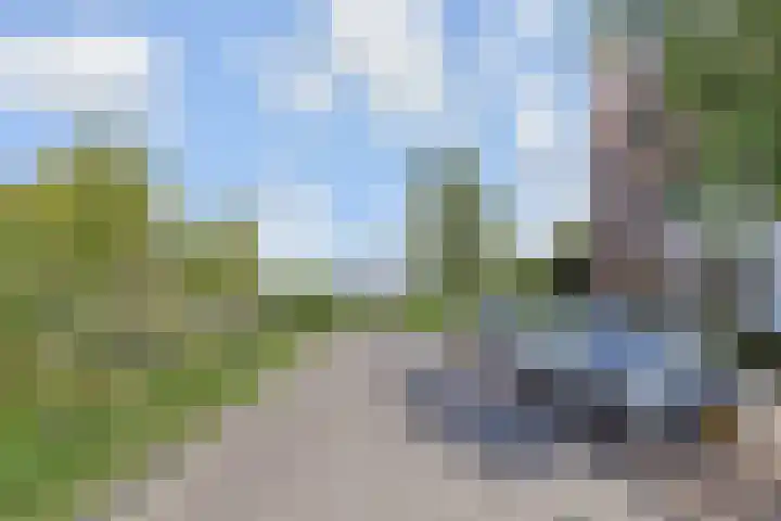 Snoekbaars 4 Waddinxveen thumbnail 54