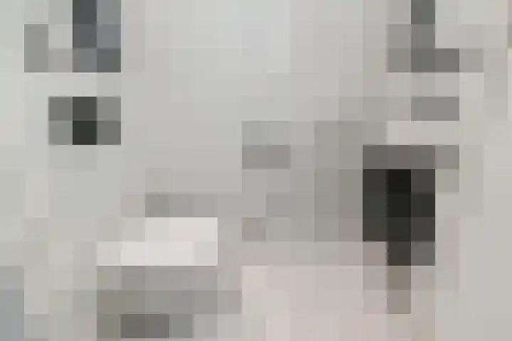 Snoekbaars 4 Waddinxveen thumbnail 9