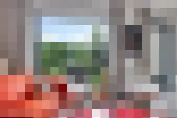 Snoekbaars 6 Doetinchem thumbnail 15