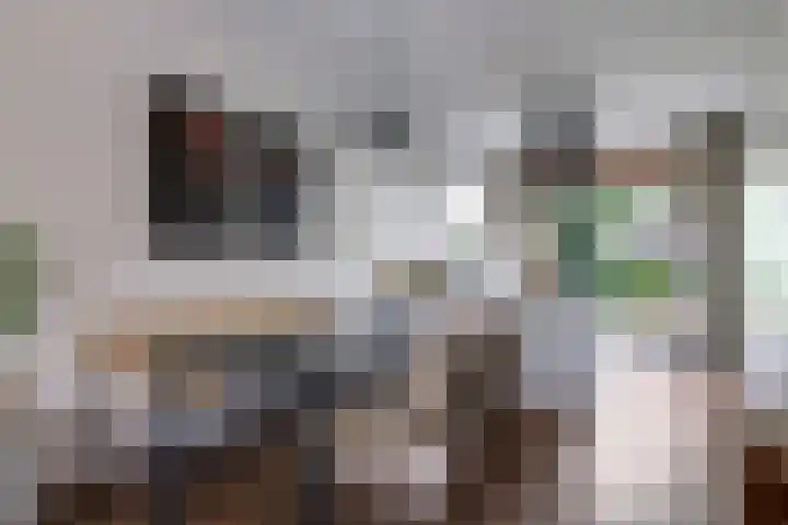 Snoekbaars 6 Doetinchem thumbnail 19