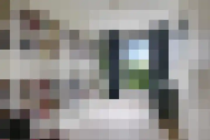 Snoekbaars 6 Doetinchem thumbnail 34
