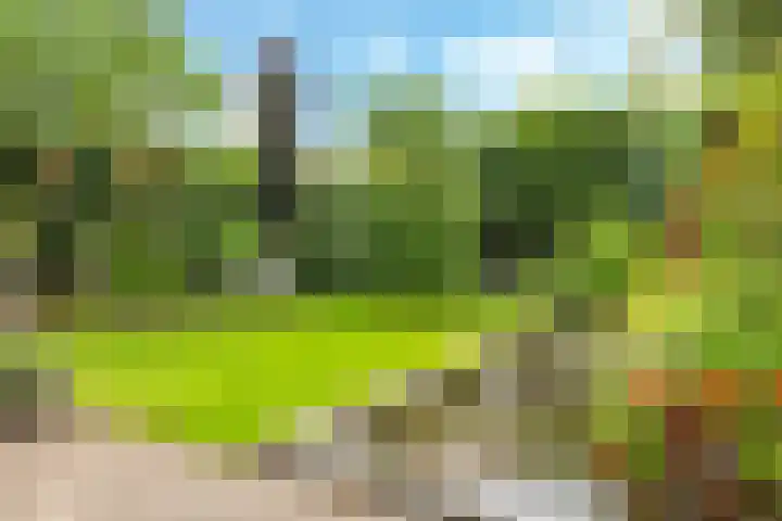 Snoekbaars 6 Doetinchem thumbnail 53