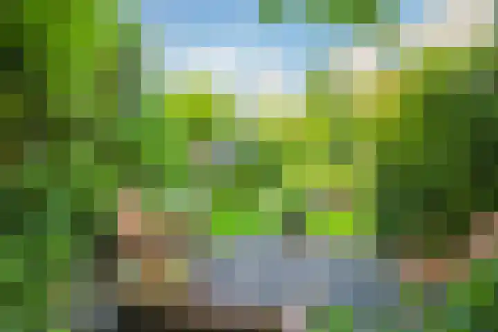 Snoekbaars 6 Doetinchem thumbnail 58