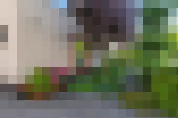 Snoekbaars 6 Doetinchem thumbnail 6