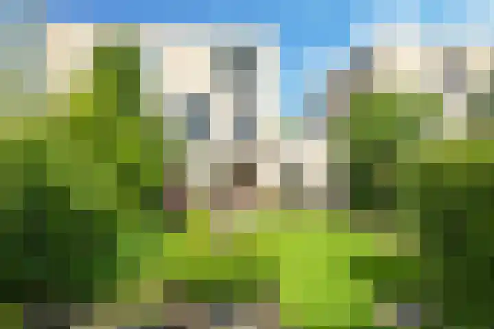 Snoekbaars 6 Doetinchem thumbnail 60