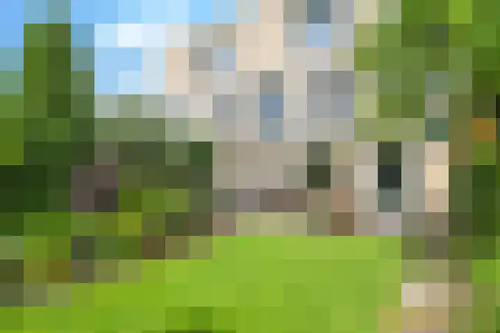Snoekbaars 6 Doetinchem thumbnail 63