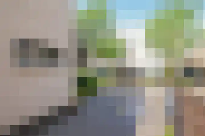 Snoekbaars 6 Doetinchem thumbnail 64