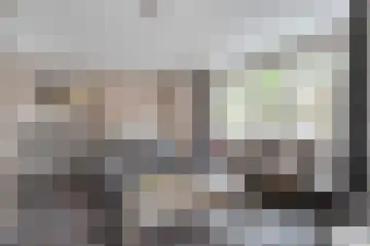Snoekbaars 8 Nieuwleusen thumbnail 10
