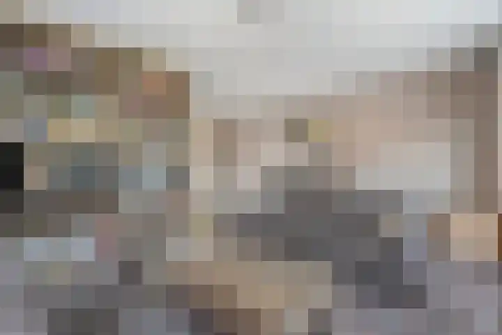 Snoekbaars 8 Nieuwleusen thumbnail 11