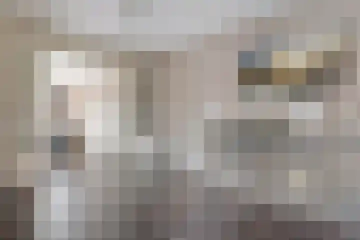 Snoekbaars 8 Nieuwleusen thumbnail 13