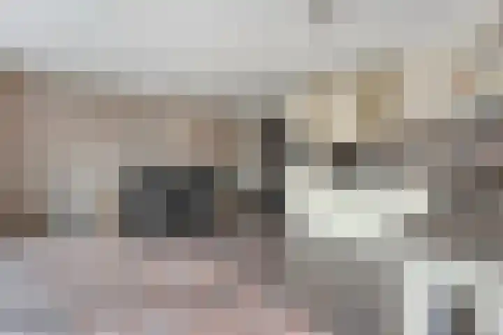 Snoekbaars 8 Nieuwleusen thumbnail 16