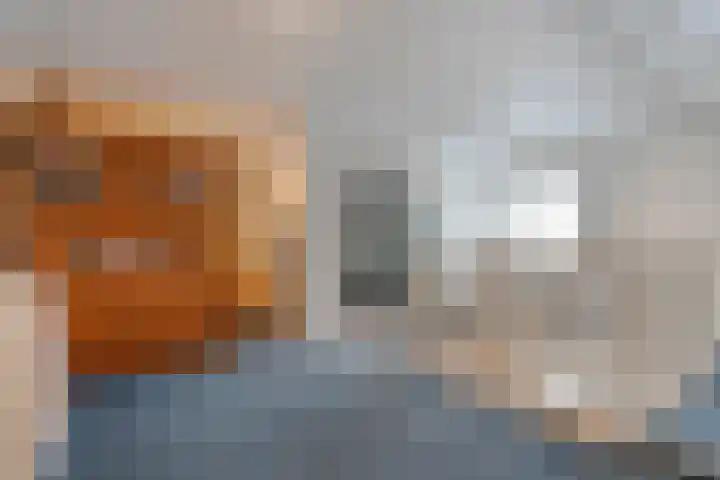 Snoekbaars 8 Nieuwleusen thumbnail 30