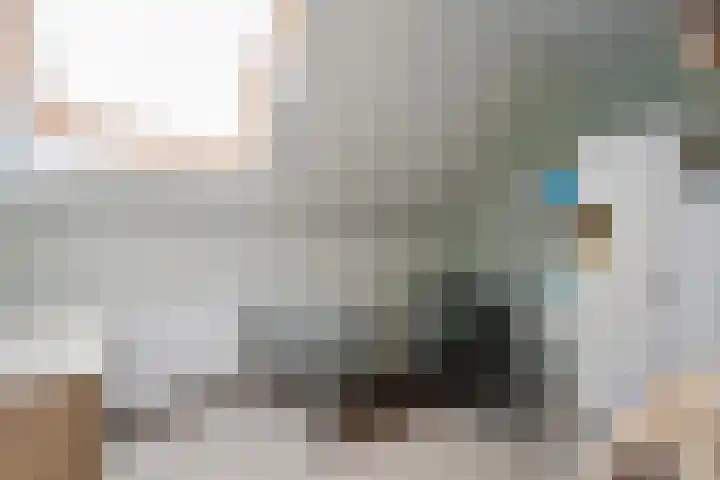 Snoekbaars 8 Nieuwleusen thumbnail 32
