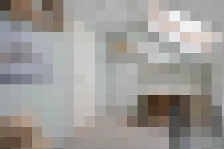 Snoekbaars 8 Nieuwleusen thumbnail 33