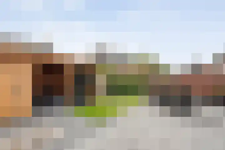 Snoekbaars 8 Nieuwleusen thumbnail 39