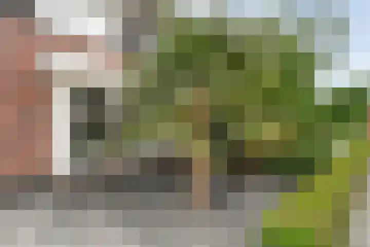 Snoekbaars 8 Nieuwleusen thumbnail 4