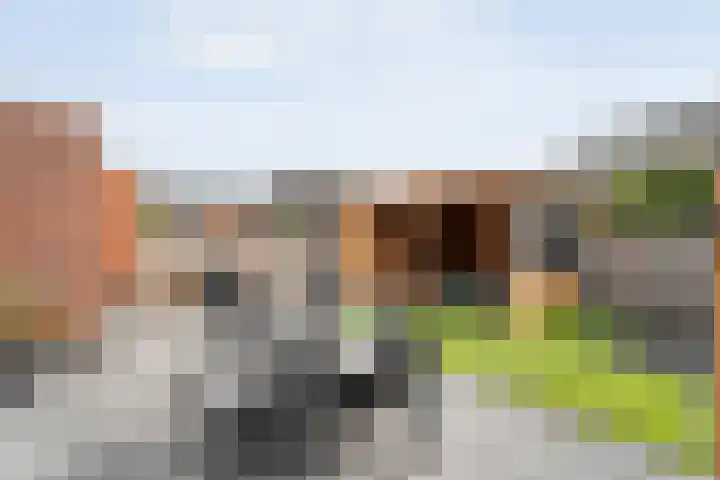 Snoekbaars 8 Nieuwleusen thumbnail 40
