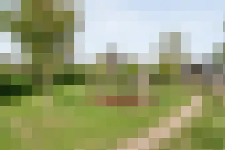 Snoekbaars 8 Nieuwleusen thumbnail 44