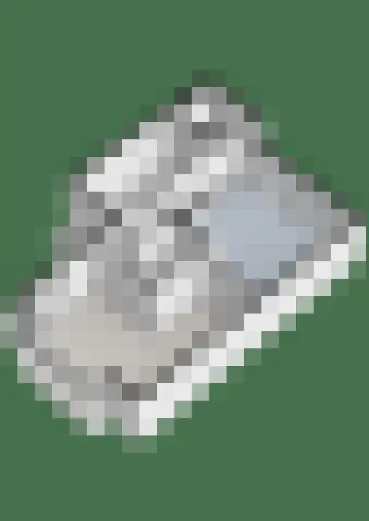 Snoekbaars 8 Nieuwleusen thumbnail 48
