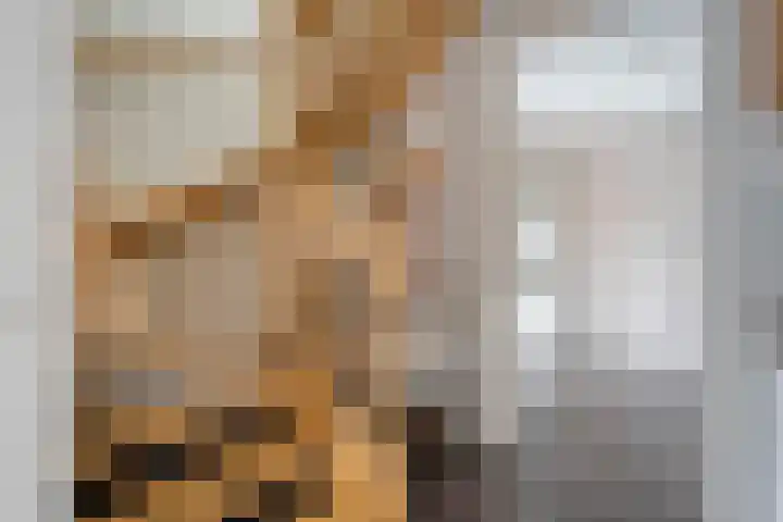 Snoekbaars 8 Nieuwleusen thumbnail 7