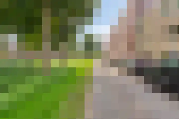 Snoekbaarssingel 59 Den Haag thumbnail 43