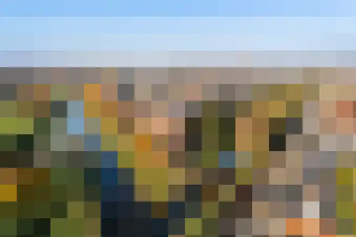 Snoekbaarssingel 61 in Den Haag