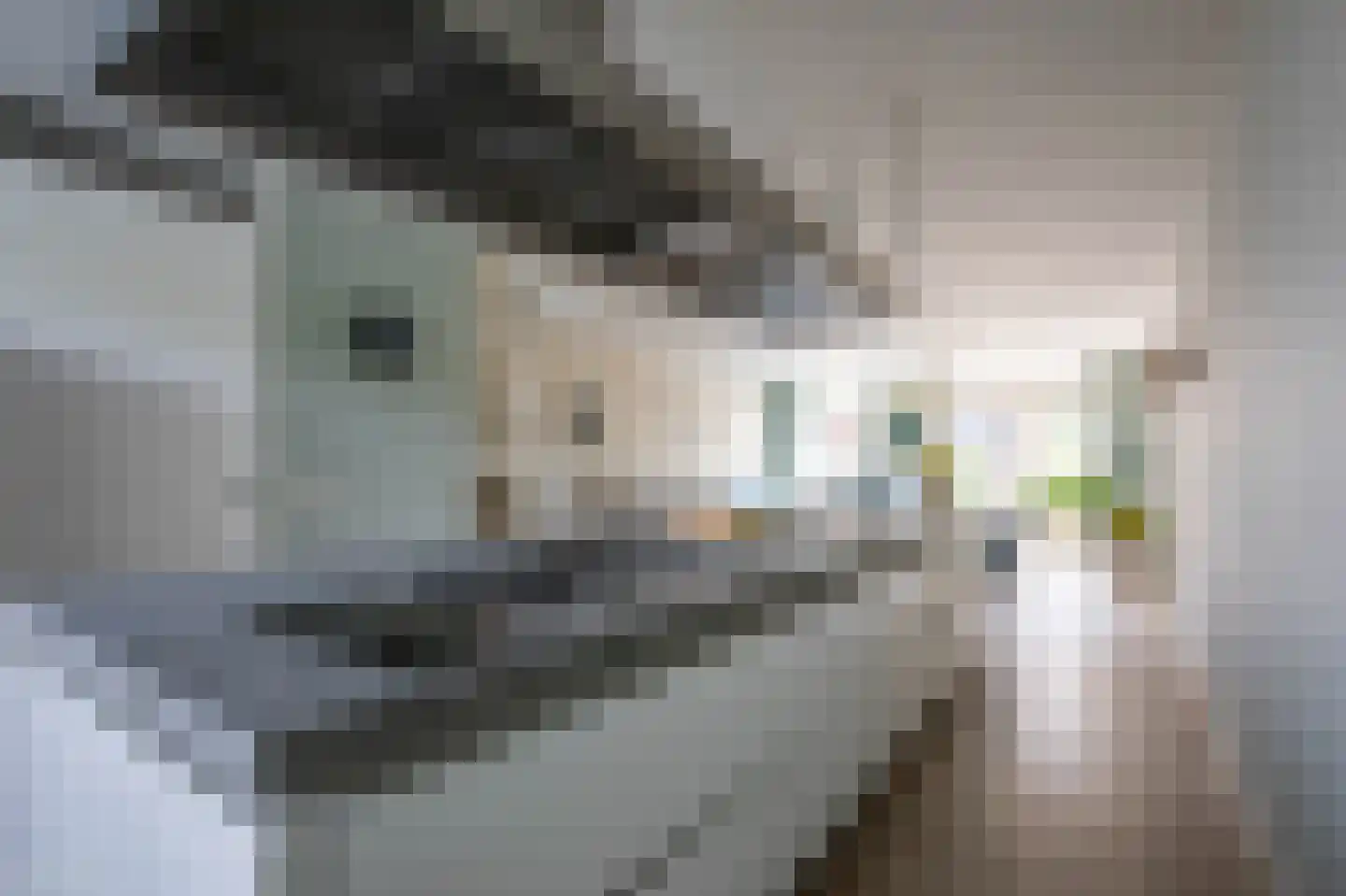 Snoekbaarsstraat 104 Aalsmeer thumbnail 13