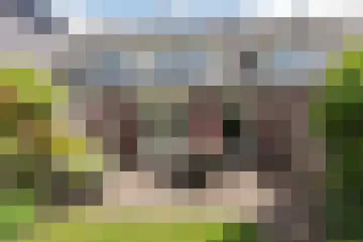 Snoekbaarsstraat 15 Aalsmeer thumbnail 4
