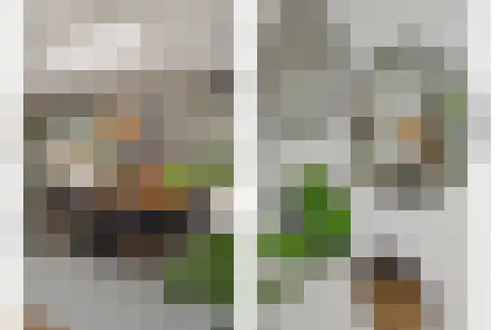 Snoekborch 9 Rosmalen thumbnail 10