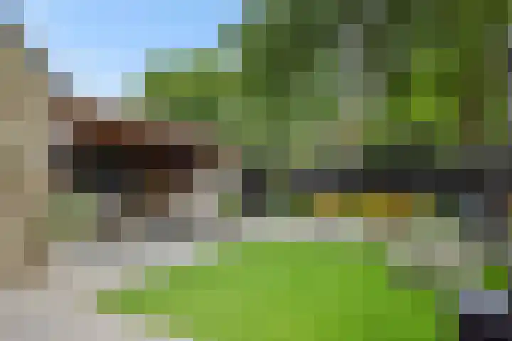 Snoekborch 9 Rosmalen thumbnail 15