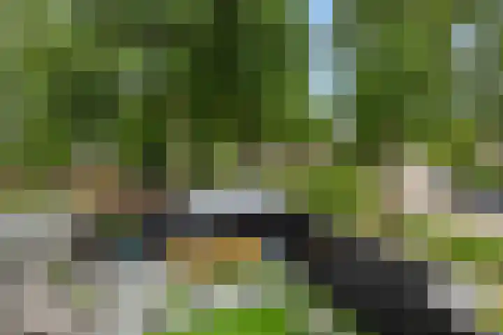 Snoekborch 9 Rosmalen thumbnail 17