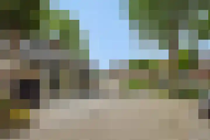 Snoekborch 9 Rosmalen thumbnail 44