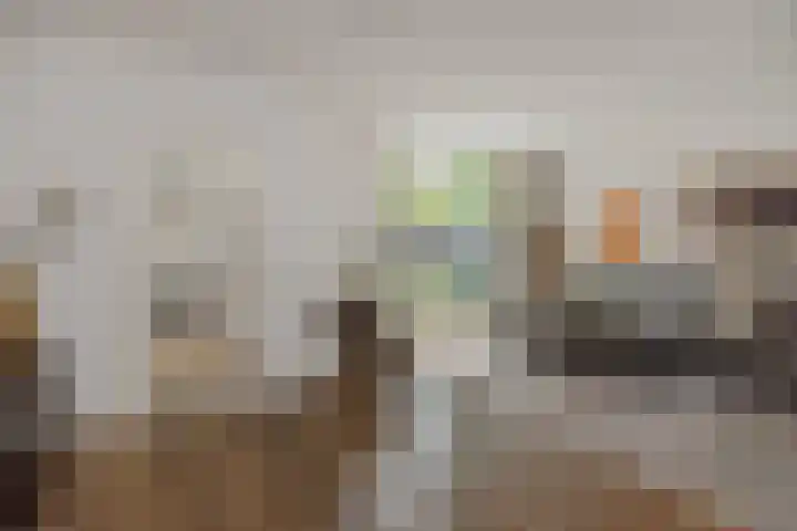 Snoekborch 9 Rosmalen thumbnail 5