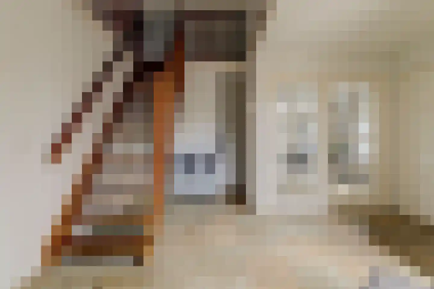 Snoekeblêd 10 Koudum thumbnail 10