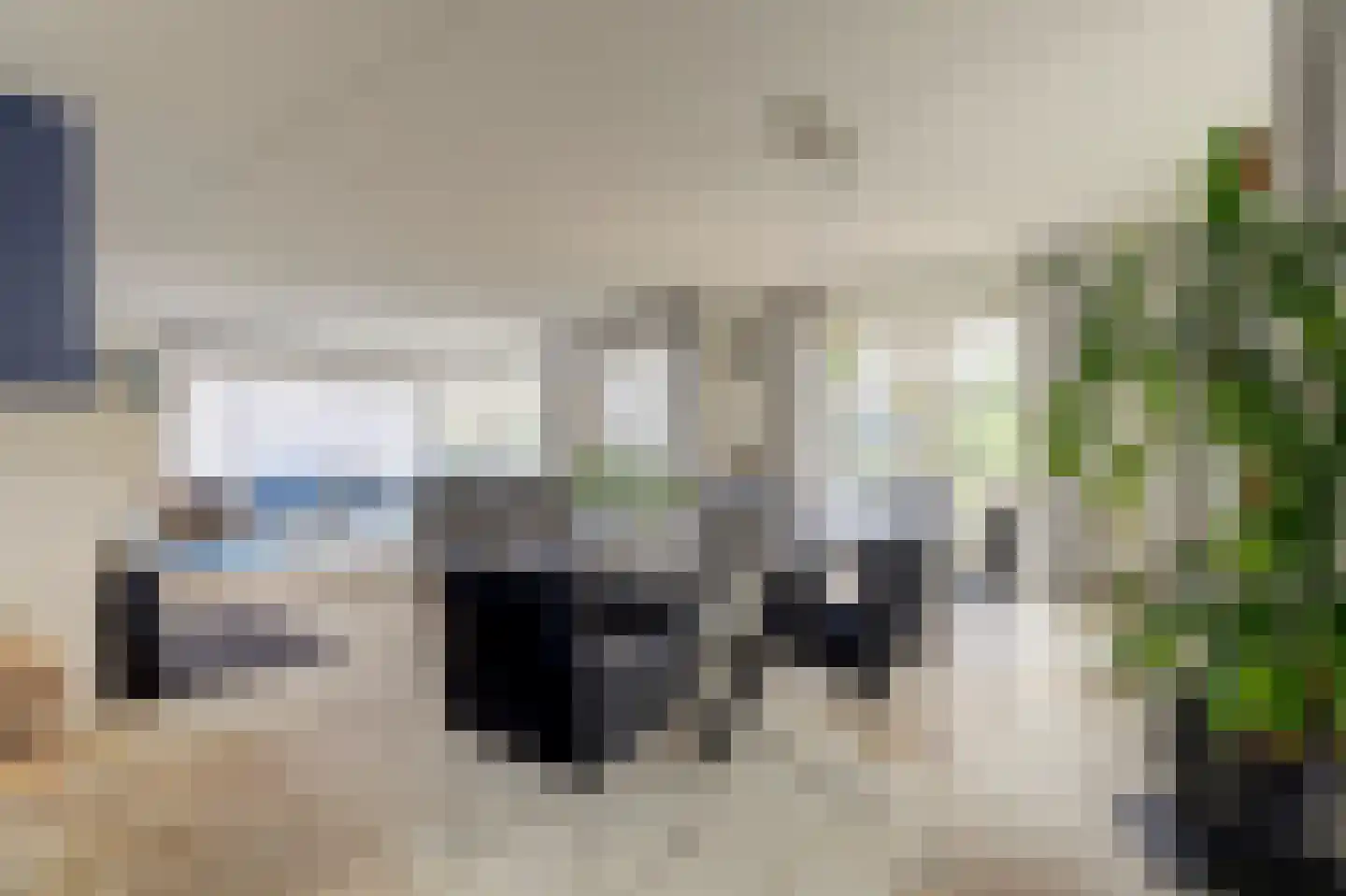 Snoekeblêd 10 Koudum thumbnail 17