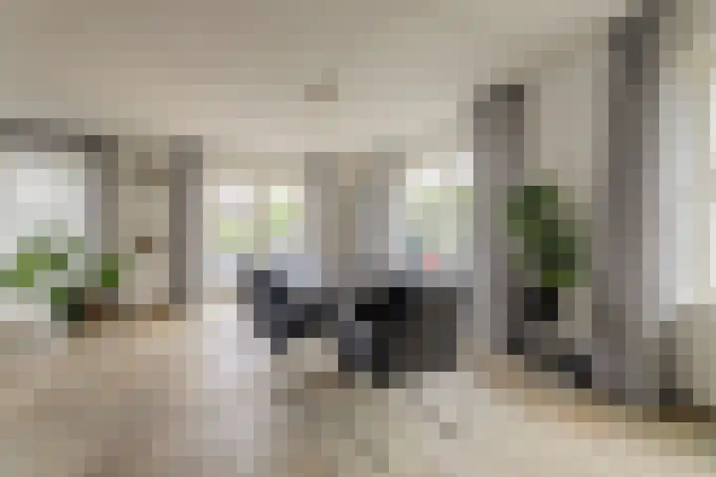 Snoekeblêd 10 Koudum thumbnail 18