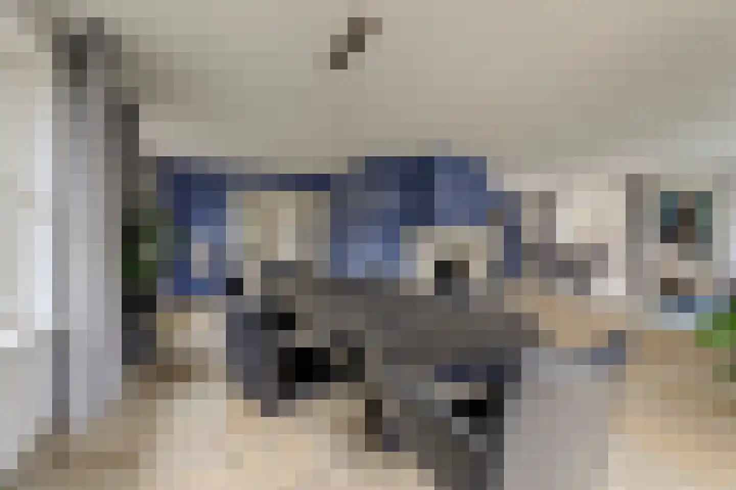 Snoekeblêd 10 Koudum thumbnail 19