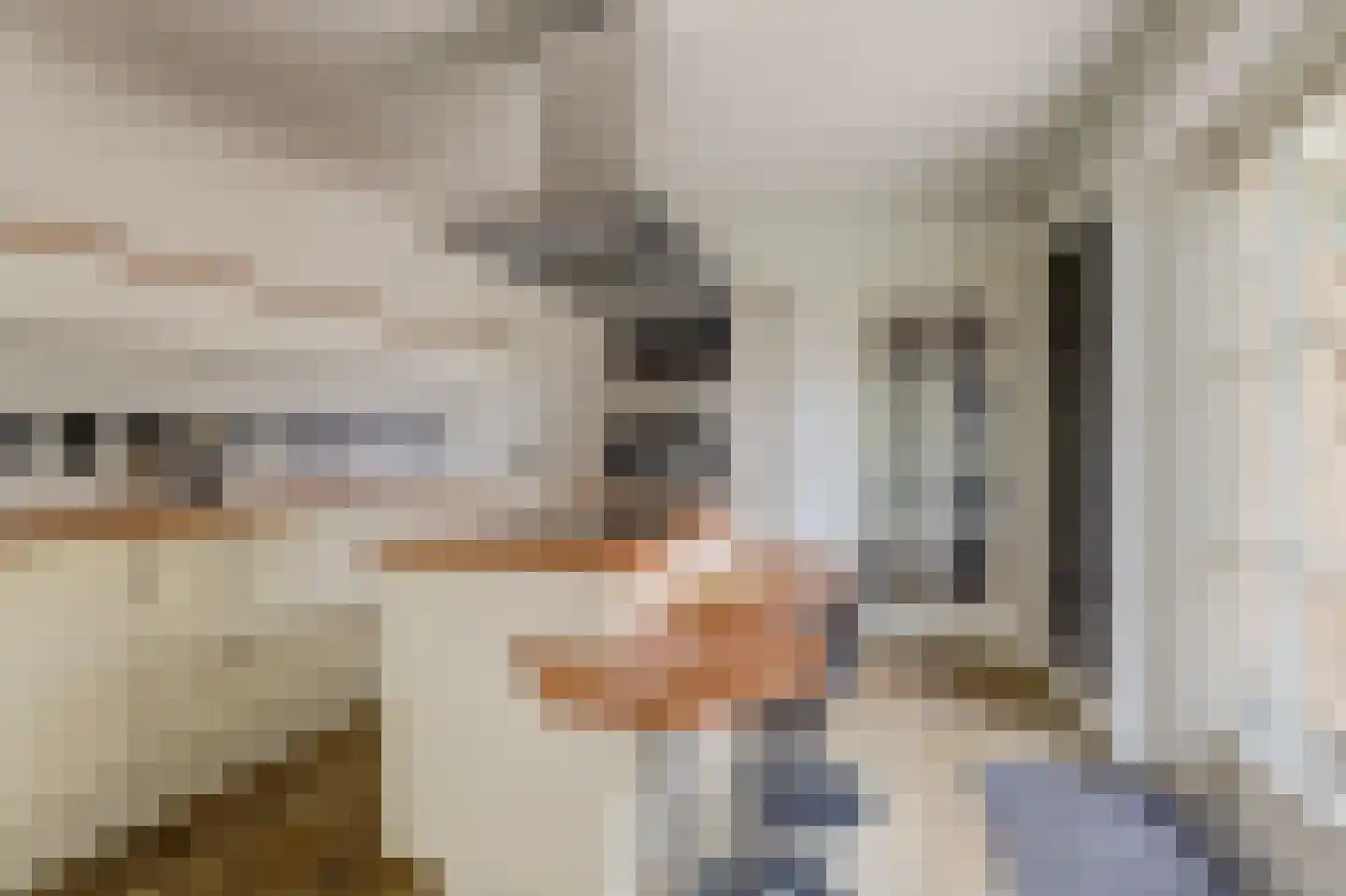 Snoekeblêd 10 Koudum thumbnail 23