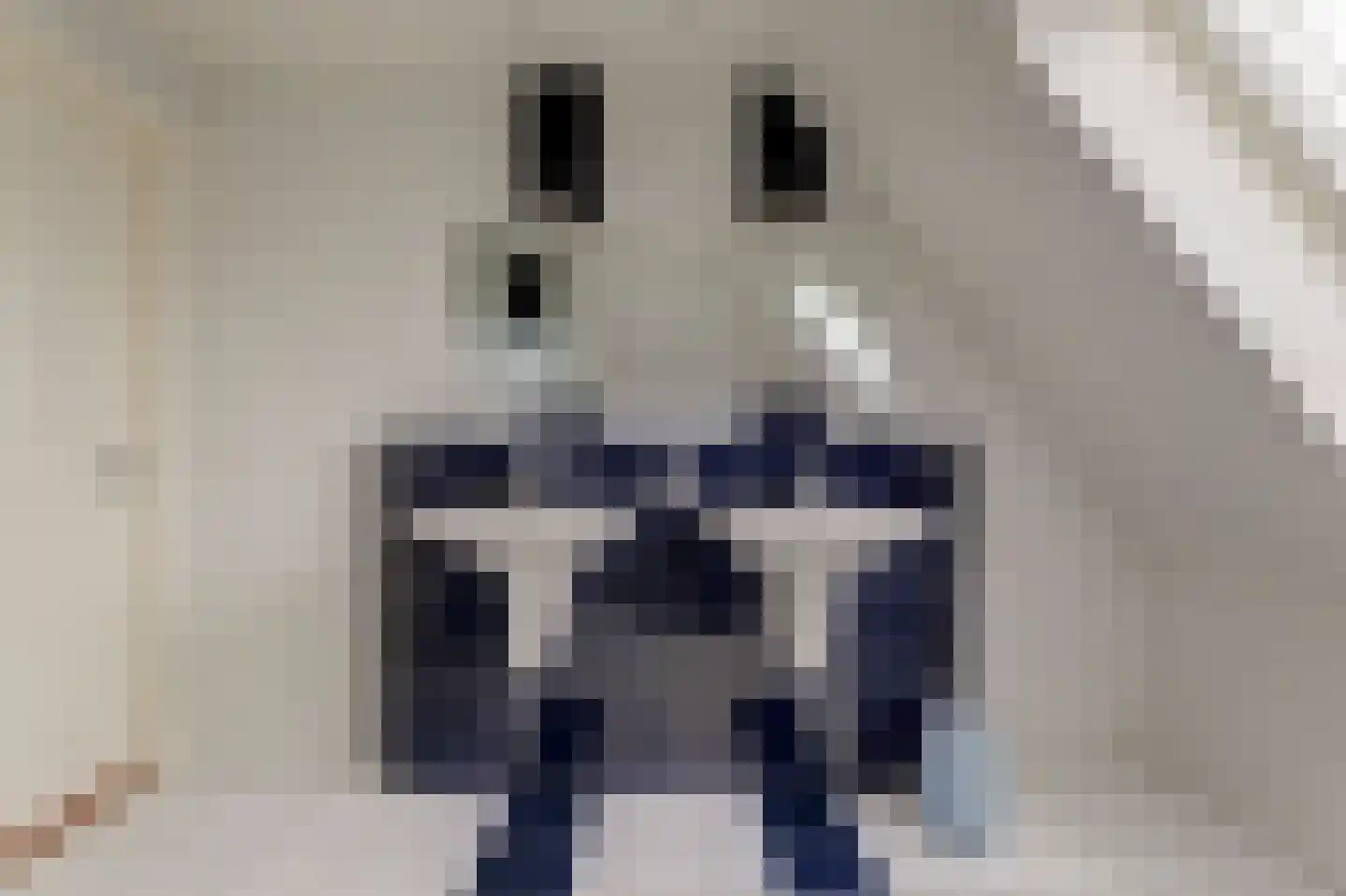 Snoekeblêd 10 Koudum thumbnail 31