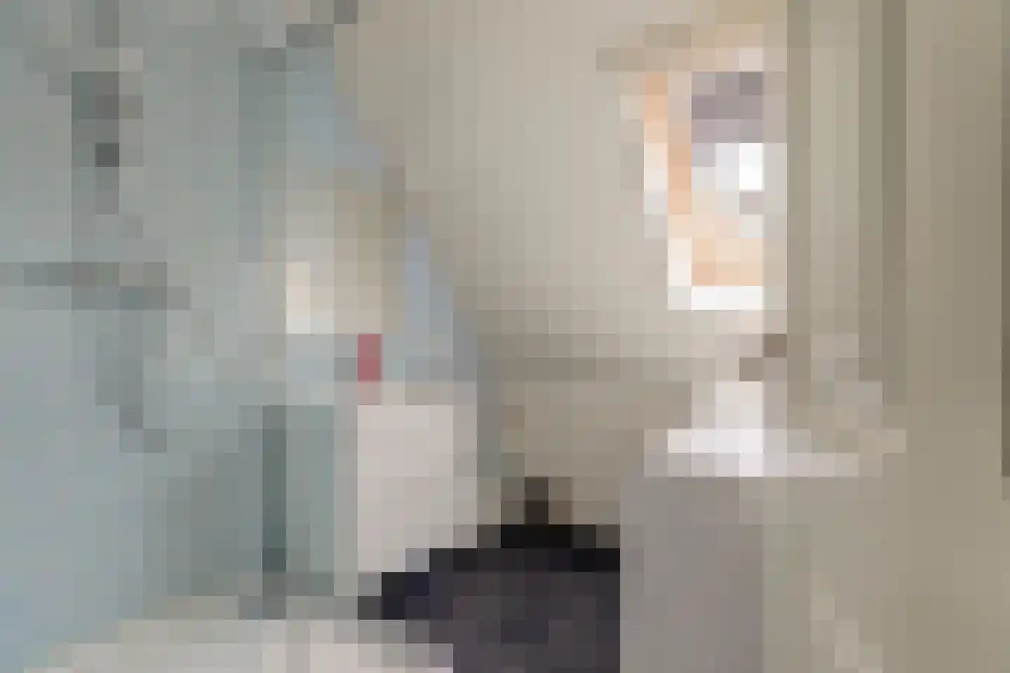 Snoekeblêd 10 Koudum thumbnail 32