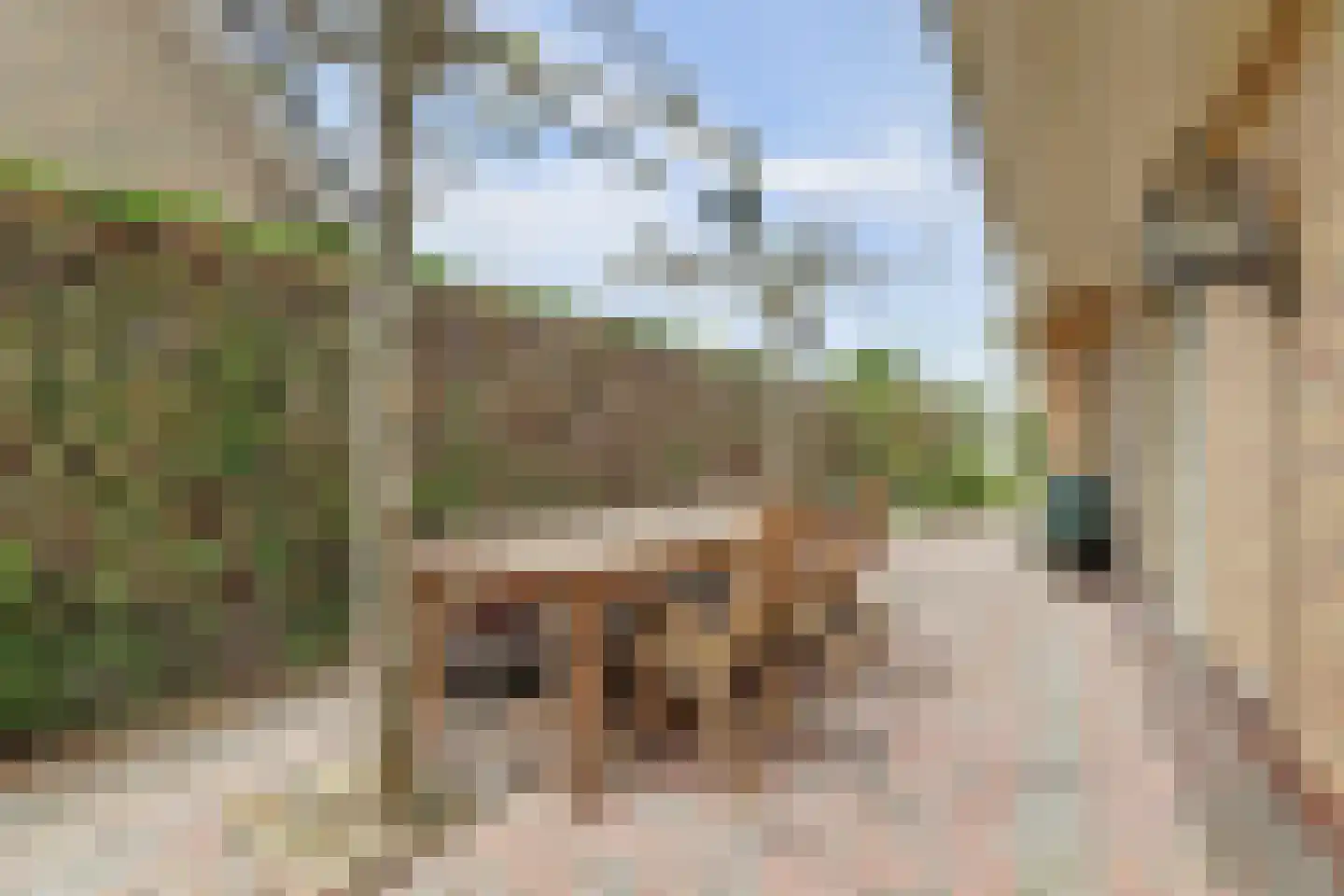 Snoekeblêd 10 Koudum thumbnail 33