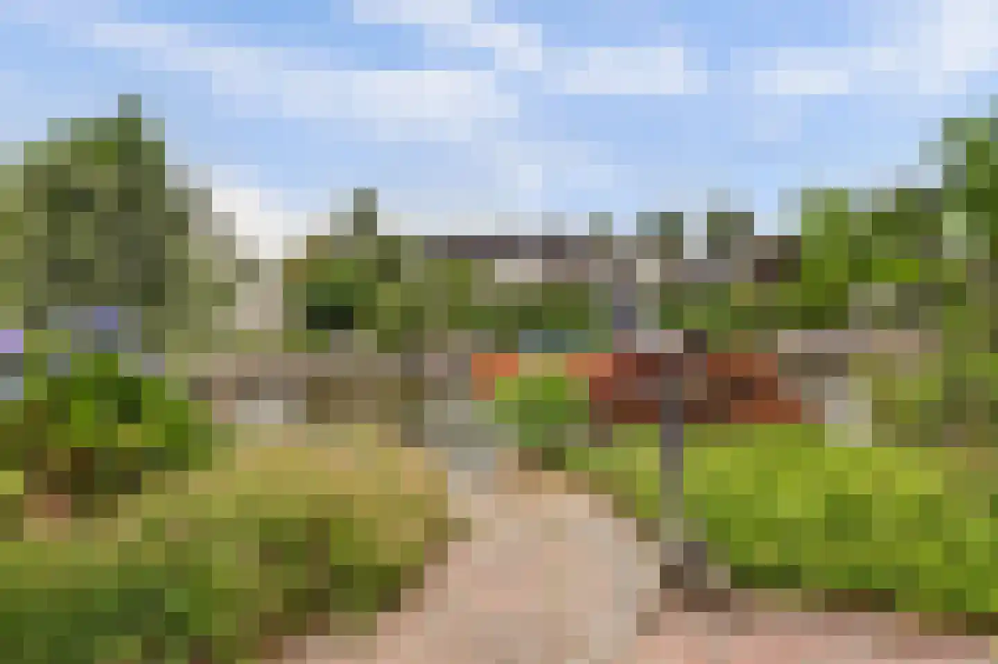 Snoekeblêd 10 Koudum thumbnail 35