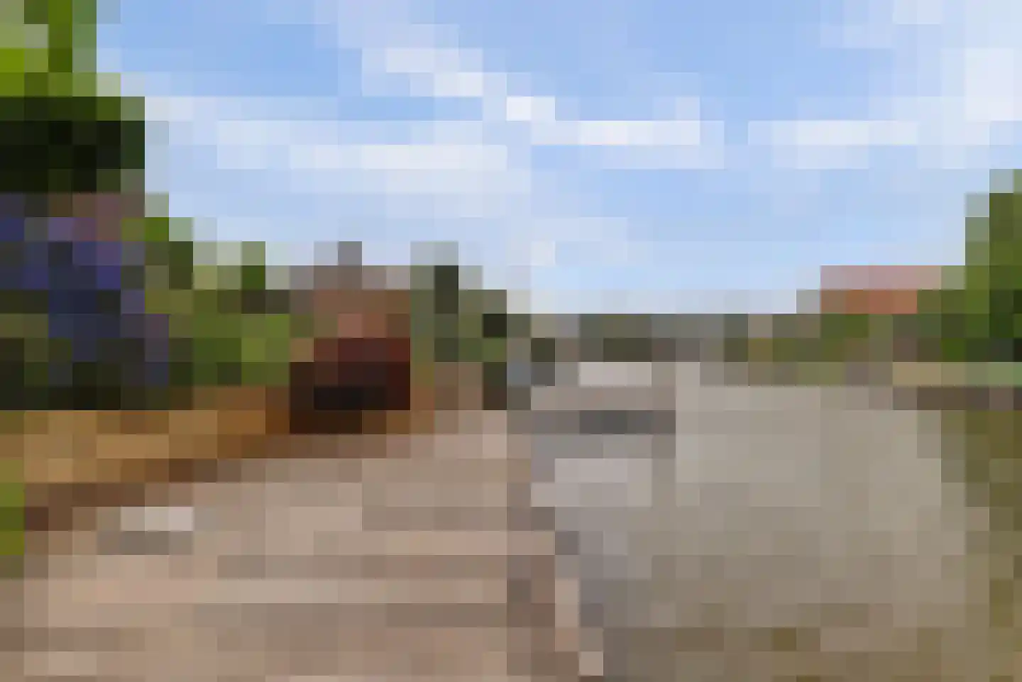 Snoekeblêd 10 Koudum thumbnail 37