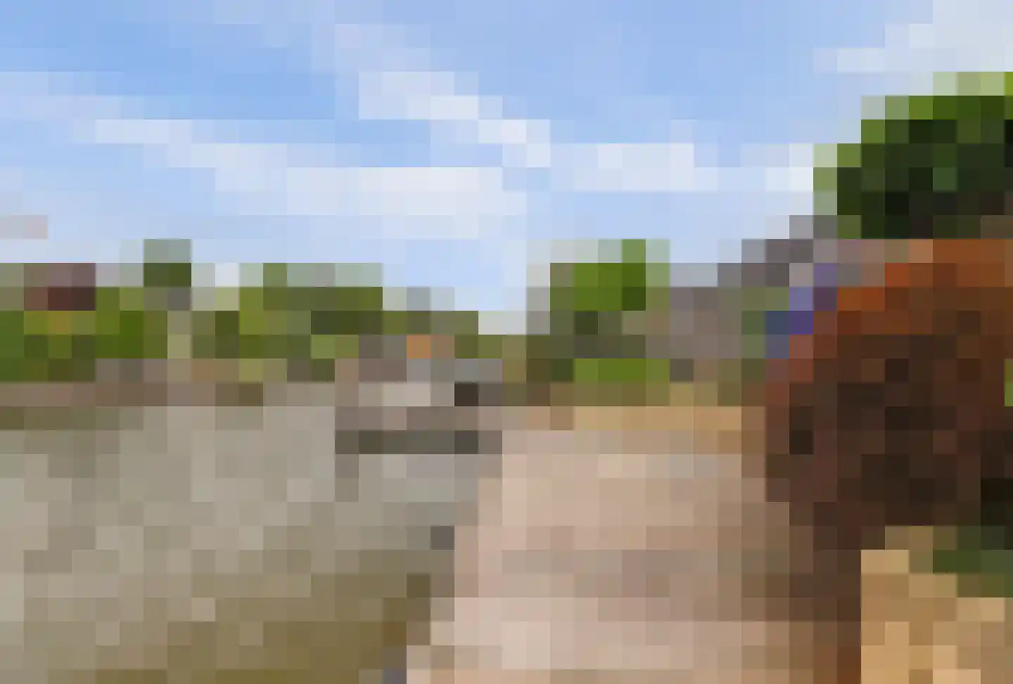 Snoekeblêd 10 Koudum thumbnail 38
