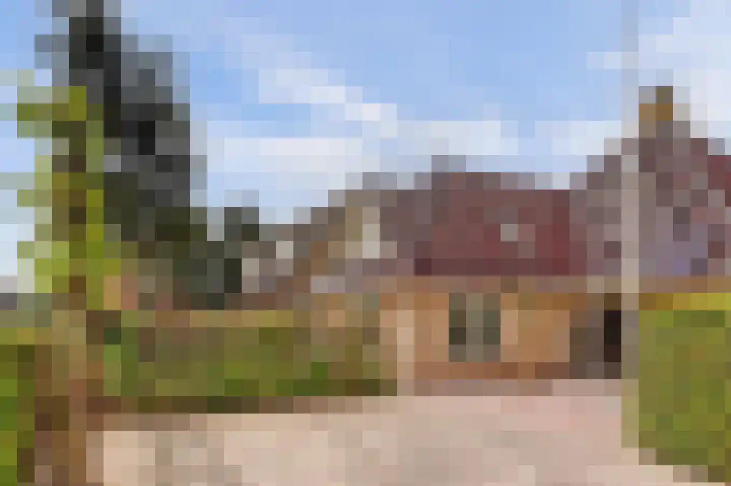 Snoekeblêd 10 Koudum thumbnail 39