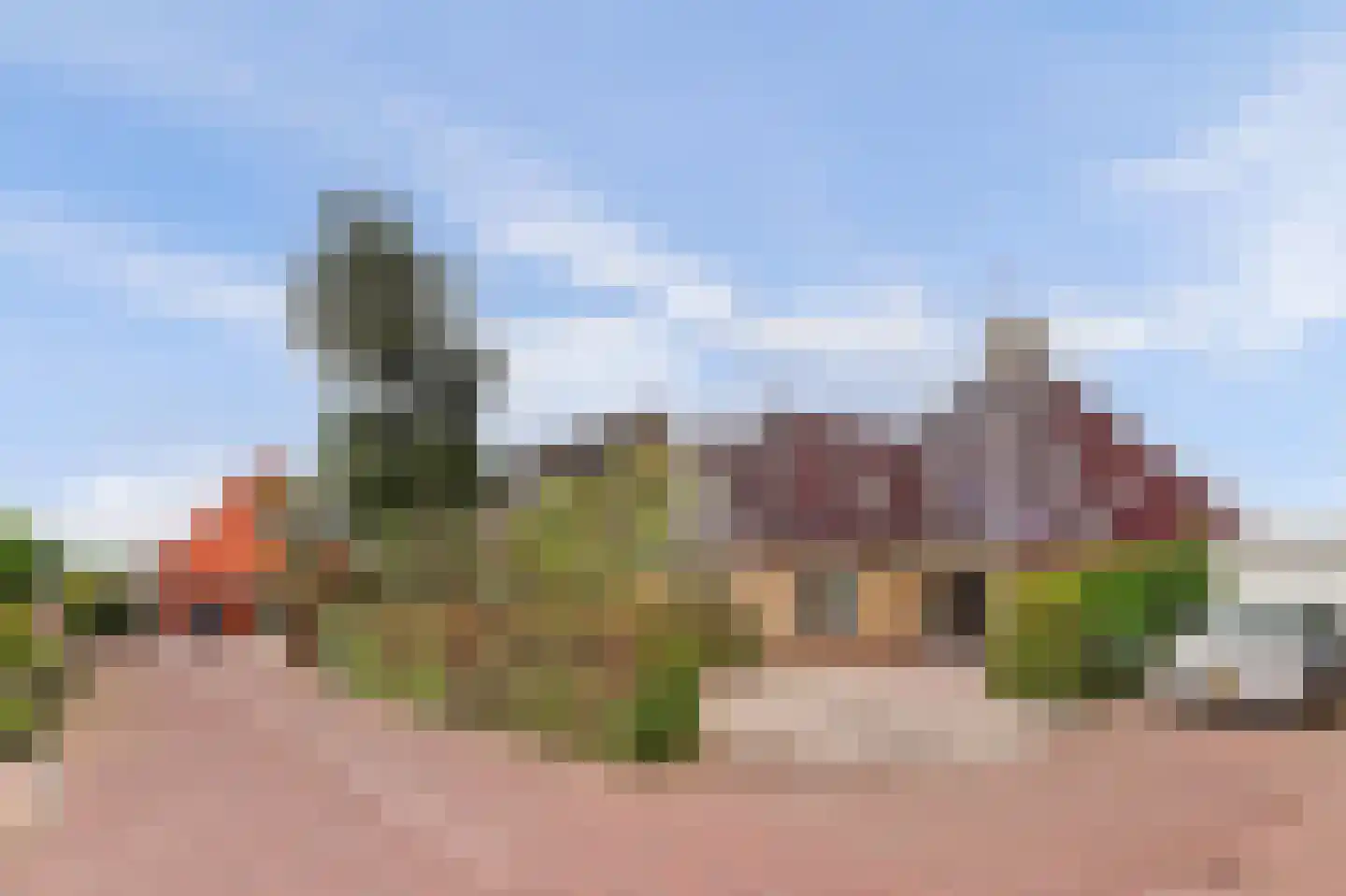 Snoekeblêd 10 Koudum thumbnail 40