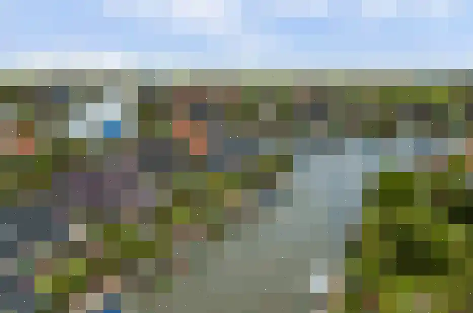 Snoekeblêd 10 Koudum thumbnail 41