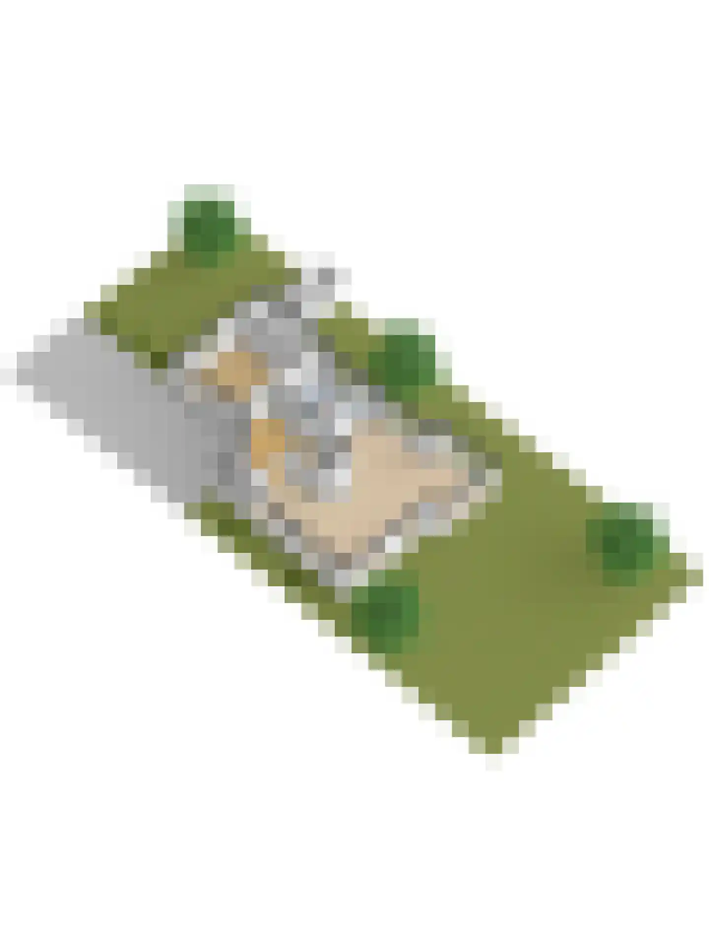 Snoekeblêd 10 Koudum thumbnail 52