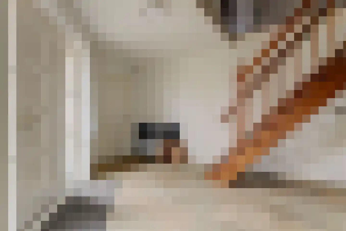 Snoekeblêd 10 Koudum thumbnail 9