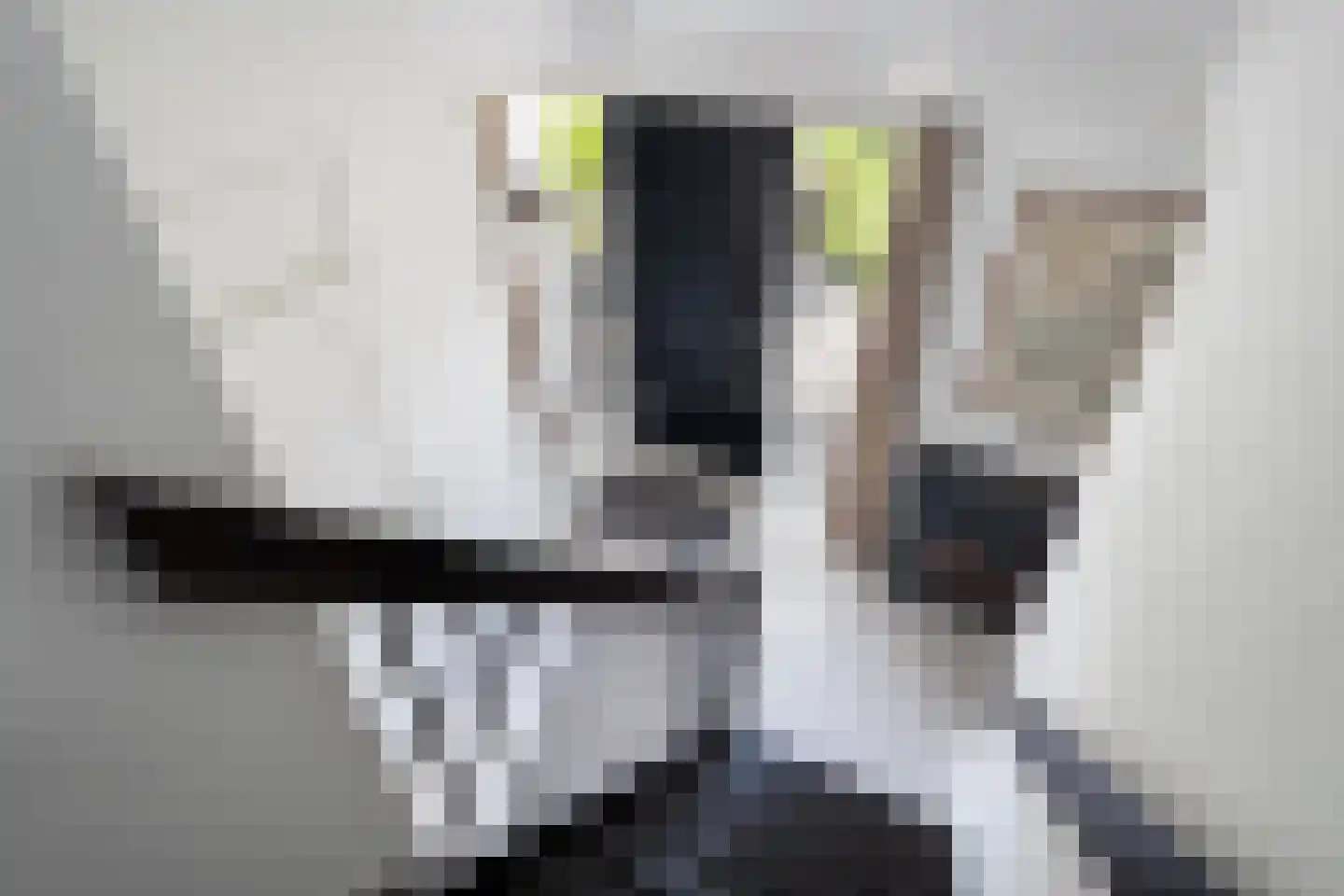 Snoekeblêd 11 Grou thumbnail 12